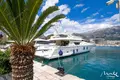 Villa de 4 dormitorios 91 m² Budva, Montenegro