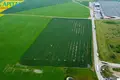 Land  Kaunas, Lithuania