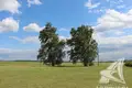 Land 42 m² Telminski sielski Saviet, Belarus