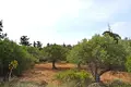 Land 1 room 20 000 m² Drapanos, Greece