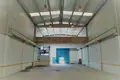 Almacén 517 m² en Alicante, Španjolska