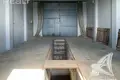Producción  en Telminski selski Savet, Belarús