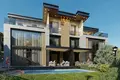 Kompleks mieszkalny Complex of villas with gardens and picturesque views close to the center of Istanbul, Turkey