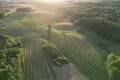 Land  Drageliskes, Lithuania