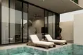 Villa mit 2 Schlafzimmern 1 157 m² Canggu, Indonesien