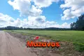 Land 99 600 m² Skulte, Latvia