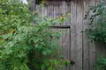 Mieszkanie 1 pokój 21 m² Roś, Białoruś