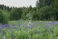 Grundstück 2 000 m² Dudenevo, Russland