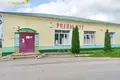 Haus 51 m² Hajna, Weißrussland