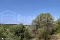 Land 7 500 m² Elassona Municipality, Greece