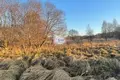 Land  Bagrationovsky District, Russia