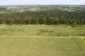 Atterrir 1 405 m² Nieczajna, Pologne