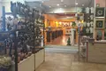 Commercial property 1 150 m² in Makrisia, Greece