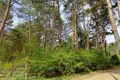 Parcelas 2 090 m² Pozegowo, Polonia