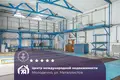 Производство 230 м² Молодечно, Беларусь