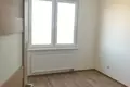 Wohnung 1 Zimmer 26 m² okrug Polyustrovo, Russland