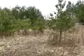 Parcelas  Zodzinski selski Savet, Belarús