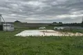 Działki  Kosina, Białoruś