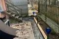 Квартира 1 комната 45 м² Дуррес, Албания