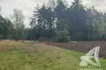Parcelas  Recycki sielski Saviet, Belarús