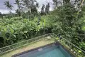 Villa de 2 dormitorios 190 m² Ubud, Indonesia