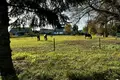 Działki 1 509 m² Rogalinek, Polska