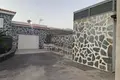 7 bedroom house  San Miguel de Abona, Spain