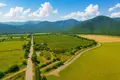 Land  Kvareli, Georgia