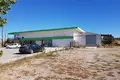 Commercial property 350 m² in Agios Mamas, Greece