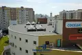 Commercial property 3 419 m² in Minsk, Belarus