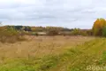 Grundstück  Viazyn, Weißrussland