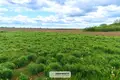 Land  Sitniki, Belarus