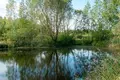 Коттедж 387 м² Дещенский сельский Совет, Беларусь