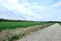 Atterrir 6 941 m² Konarskie, Pologne