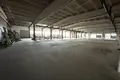 Fabrication 8 539 m² à Tukums, Lettonie