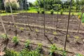 3 bedroom house 160 m² Dobrich, Bulgaria