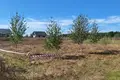 Land 1 003 m² Nienawiszcz, Poland