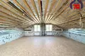 Casa 130 m² Krasnadvorski sielski Saviet, Belarús