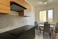 Wohnung 2 zimmer 51 m² Krakau, Polen