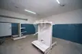 Gewerbefläche 12 zimmer 505 m² in Minsk, Belarus