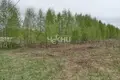 Земельные участки 1 900 м² Городецкий муниципальный округ, Россия