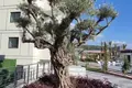 Apartamento 2 habitaciones 109 m² Región del Mediterráneo, Turquía