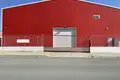 Warehouse 2 400 m² in Aradhippou, Cyprus