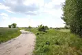 Parcelas 5 159 m² Krosinko, Polonia