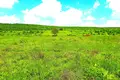 Grundstück 160 000 m² Prilep, Bulgarien