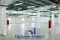 Коммерческое помещение 300 м² в Ждановичи, Беларусь