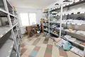 Propiedad comercial 50 m² en Fanipal, Belarús