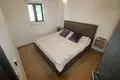 4-Schlafzimmer-Villa 250 m² Cernik, Kroatien