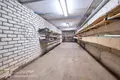 Warehouse 497 m² in Garanski selski Savet, Belarus
