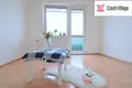 2 bedroom apartment 60 m² Hustopece, Czech Republic